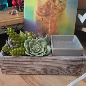 Scentsy Succulent Wax Warmer with Green Accents